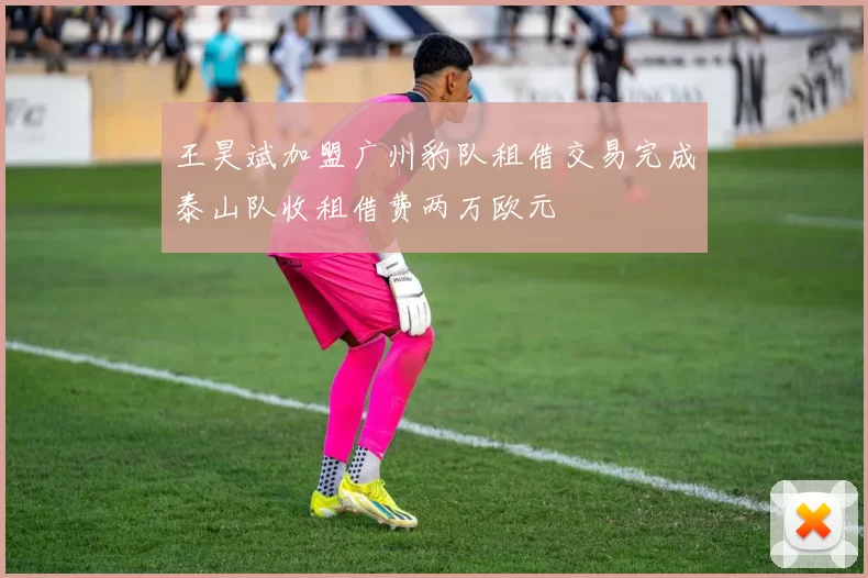 王昊斌加盟广州豹队租借交易完成泰山队收租借费两万欧元
